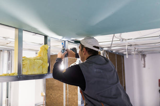 Best Attic Insulation Installation  in Navarre Beach, FL